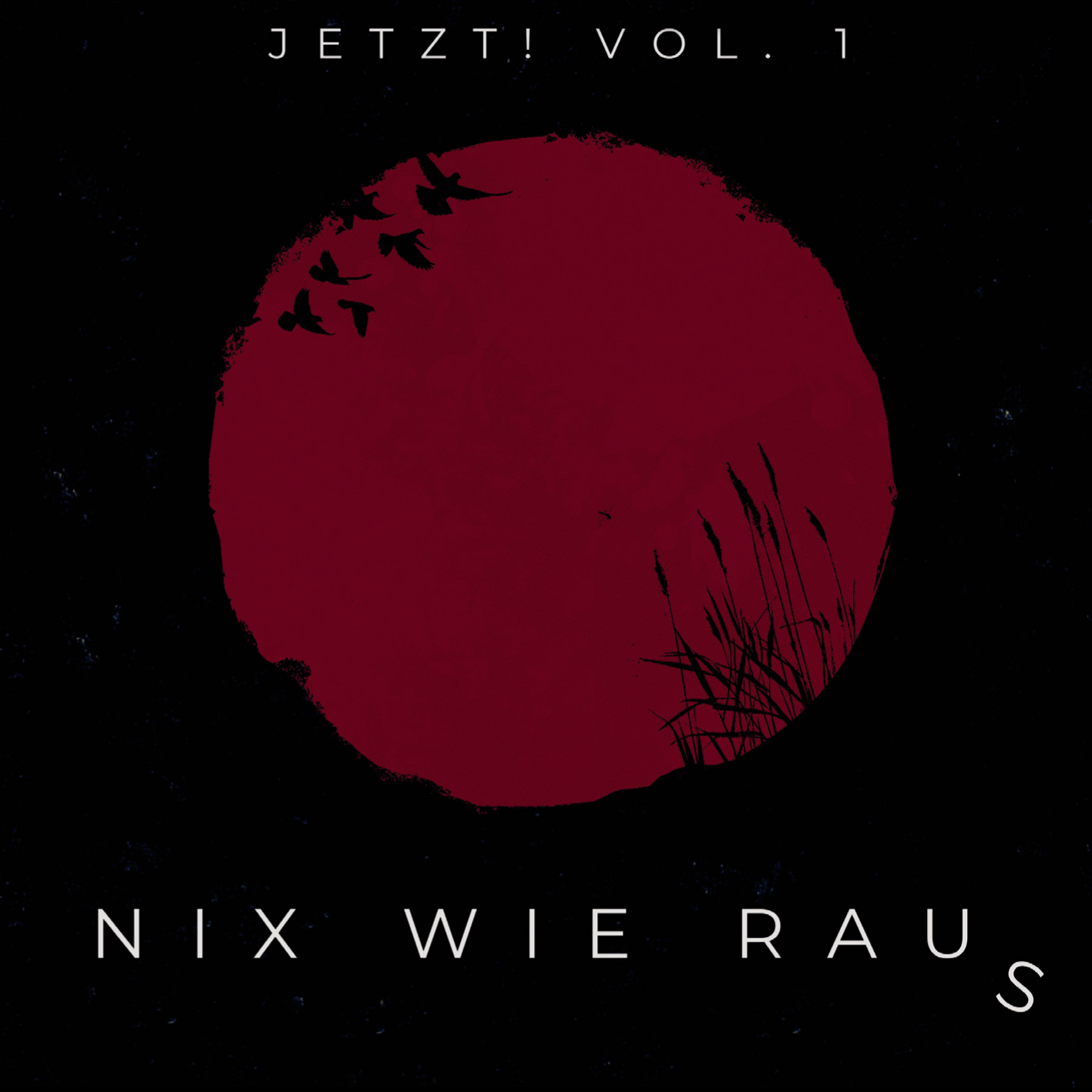 NIX WIE RAUs - JETZT! 2025